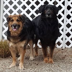 Meet your Posher, Helen